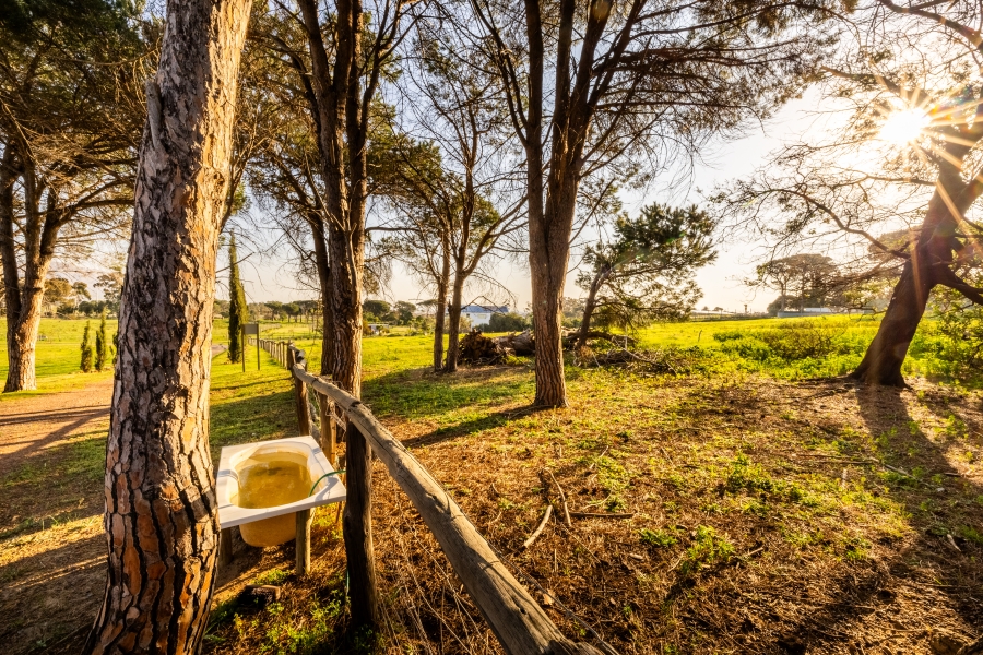0 Bedroom Property for Sale in Somerset West Rural Western Cape
